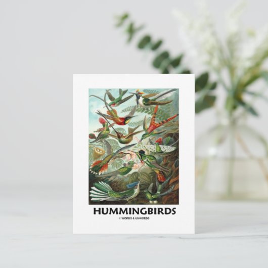Hummingvogels Briefkaart (Staand voorkant)