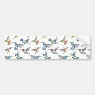 Hummingvogels Bumpersticker