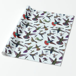 Hummingvogels Cadeaupapier