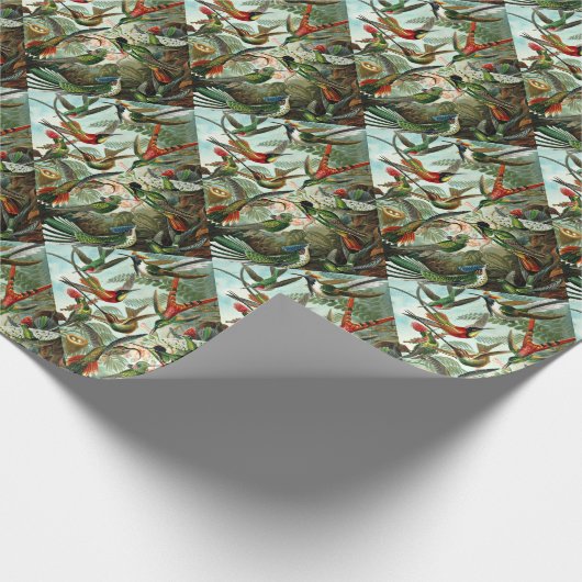 Hummingvogels Cadeaupapier (Hoek)