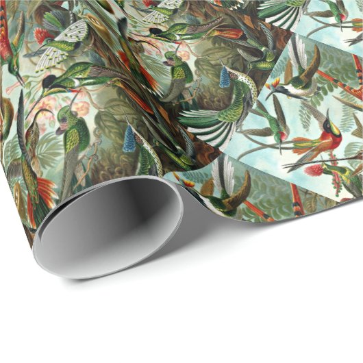 Hummingvogels Cadeaupapier (Rol Hoek)