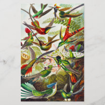  Hummingvogels door Ernst Haeckel