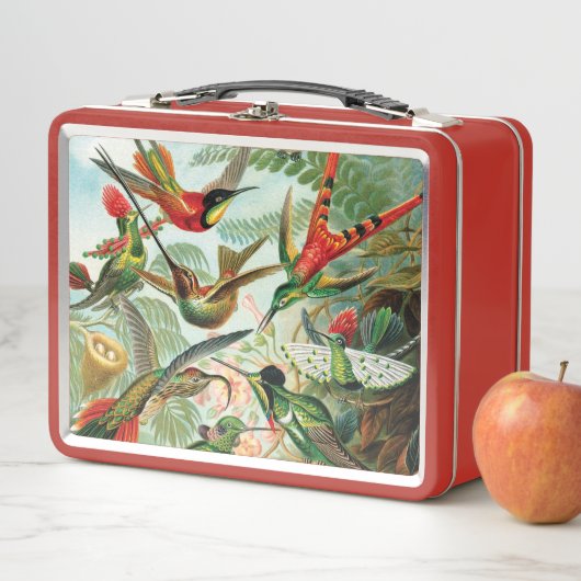 Hummingvogels door Ernst Haeckel (In situ)