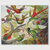  Hummingvogels door Ernst Haeckel Cadeaupapier (Vlak)