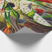  Hummingvogels door Ernst Haeckel Cadeaupapier (Hoek)