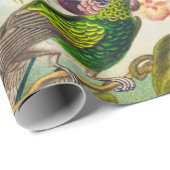  Hummingvogels door Ernst Haeckel Cadeaupapier (Rol Hoek)