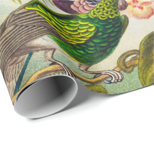  Hummingvogels door Ernst Haeckel Cadeaupapier (Rol Hoek)