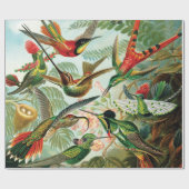 Hummingvogels door Ernst Haeckel Cadeaupapier (Vlak)