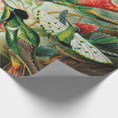 Hummingvogels door Ernst Haeckel Cadeaupapier (Hoek)