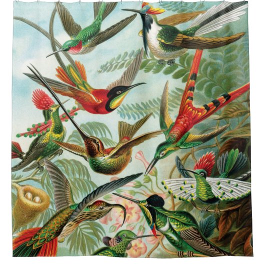 Hummingvogels door Ernst Haeckel Douchegordijn (Voorkant)