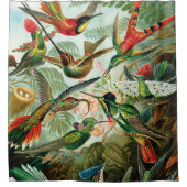 Hummingvogels door Ernst Haeckel Douchegordijn (Voorkant)
