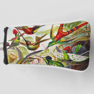 Hummingvogels door Ernst Haeckel Golfheadcover