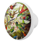  Hummingvogels door Ernst Haeckel Keramische Knop (Rechts)