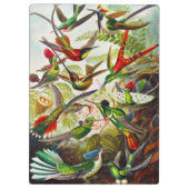  Hummingvogels door Ernst Haeckel Klembord (Achterkant)