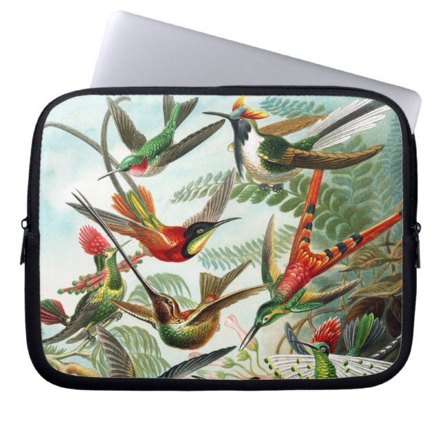 Hummingvogels door Ernst Haeckel Laptop Sleeve (Voorkant)