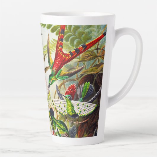  Hummingvogels door Ernst Haeckel Latte Mok (Rechts)