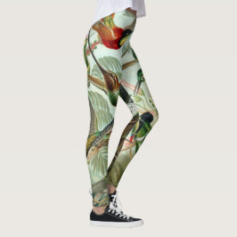 Hummingvogels door Ernst Haeckel Leggings