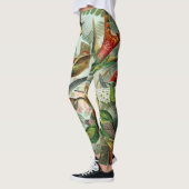 Hummingvogels door Ernst Haeckel Leggings (Links)