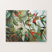 Hummingvogels door Ernst Haeckel Legpuzzel (Horizontaal)