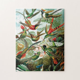 Hummingvogels door Ernst Haeckel Legpuzzel