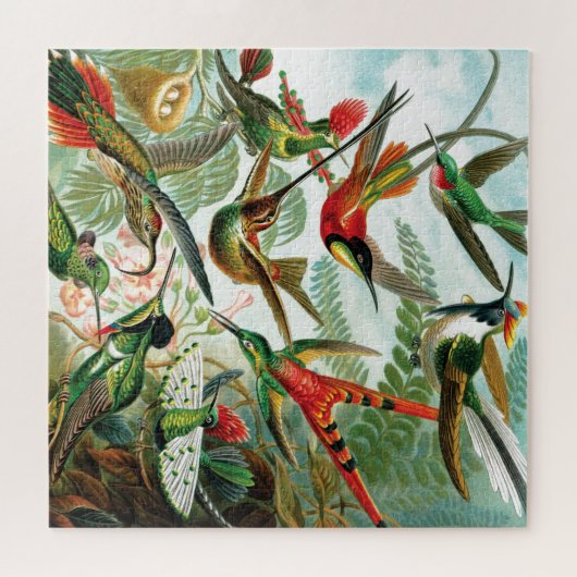 Hummingvogels door Ernst Haeckel Legpuzzel (Horizontaal)