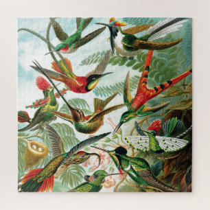 Hummingvogels door Ernst Haeckel Legpuzzel