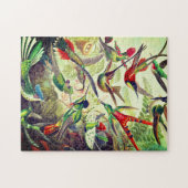 Hummingvogels door Ernst Haeckel Legpuzzel (Horizontaal)