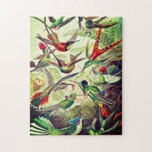  Hummingvogels door Ernst Haeckel Legpuzzel
