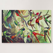  Hummingvogels door Ernst Haeckel Legpuzzel (Horizontaal)