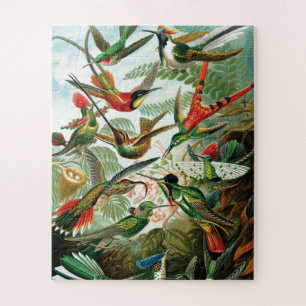 Hummingvogels door Ernst Haeckel Legpuzzel