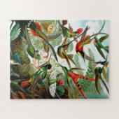 Hummingvogels door Ernst Haeckel Legpuzzel (Horizontaal)