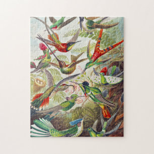 Hummingvogels door Ernst Haeckel Legpuzzel