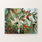 Hummingvogels door Ernst Haeckel Legpuzzel (Horizontaal)