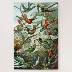 Hummingvogels door Ernst Haeckel Legpuzzel