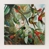 Hummingvogels door Ernst Haeckel Legpuzzel (Horizontaal)