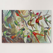  Hummingvogels door Ernst Haeckel Legpuzzel (Horizontaal)