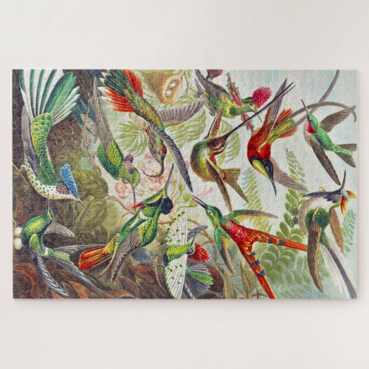  Hummingvogels door Ernst Haeckel Legpuzzel (Horizontaal)