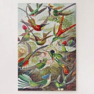  Hummingvogels door Ernst Haeckel Legpuzzel