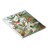 Hummingvogels door Ernst Haeckel Notitieblok (Schuin)