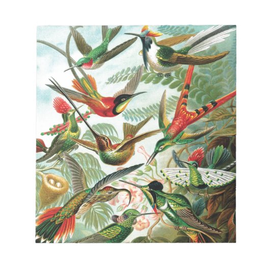 Hummingvogels door Ernst Haeckel Notitieblok (Voorkant)