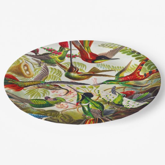  Hummingvogels door Ernst Haeckel Papieren Bordje (Gekanteld)