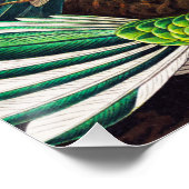 Hummingvogels door Ernst Haeckel Perfect Poster (Hoek)