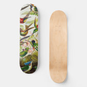  Hummingvogels door Ernst Haeckel Persoonlijk Skateboard (Voorkant)