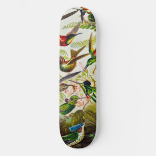 Hummingvogels door Ernst Haeckel Persoonlijk Skateboard