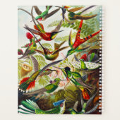  Hummingvogels door Ernst Haeckel Planner (Achterkant)