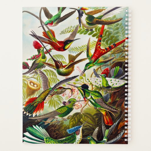  Hummingvogels door Ernst Haeckel Planner (Achterkant)