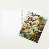  Hummingvogels door Ernst Haeckel Planner (Display)