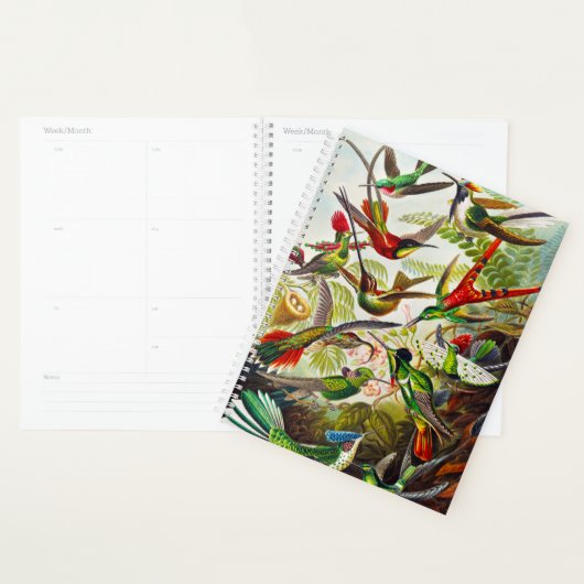  Hummingvogels door Ernst Haeckel Planner (Display)