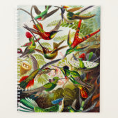  Hummingvogels door Ernst Haeckel Planner (Voorkant)