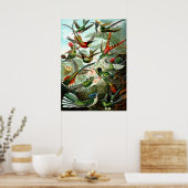 Hummingvogels door Ernst Haeckel Poster (Keuken)